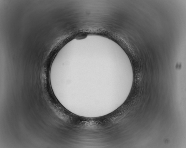 X0000099520688200806121502