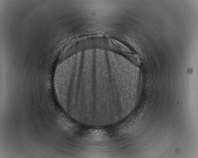 X0000099520689200806121502