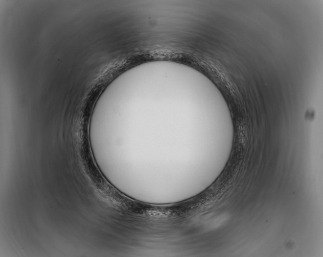 X0000099520690200806121502