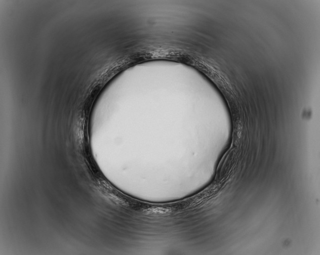 X0000099520691200806121502