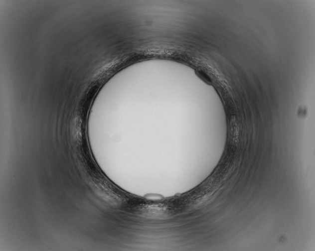 X0000099520692200806121502