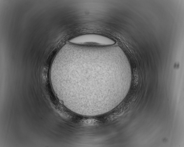 X0000099520695200806121502