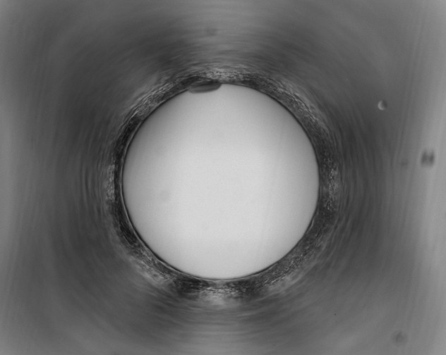 X0000099520696200806121502