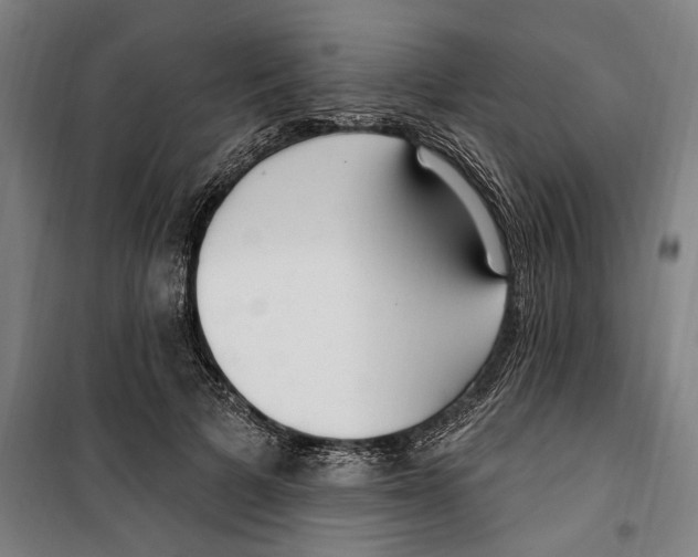 X0000099520697200806121502