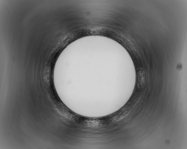 X0000099520698200806121502