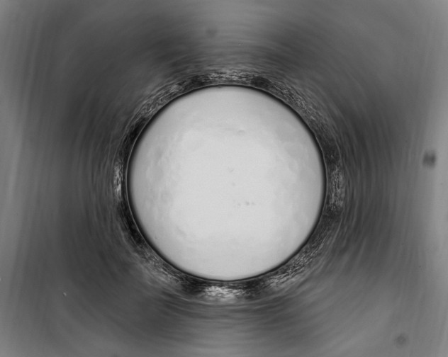 X0000099520699200806121502