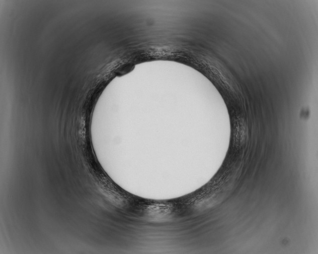 X0000099520700200806121502