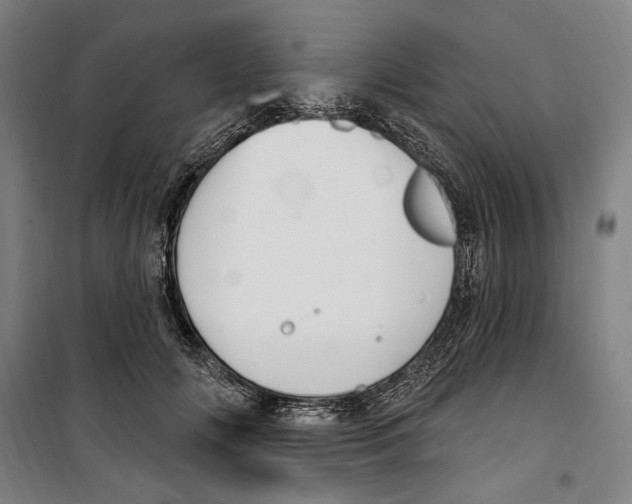 X0000099520702200806121502