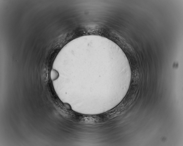 X0000099520703200806121502