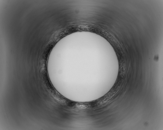 X0000099520706200806121502