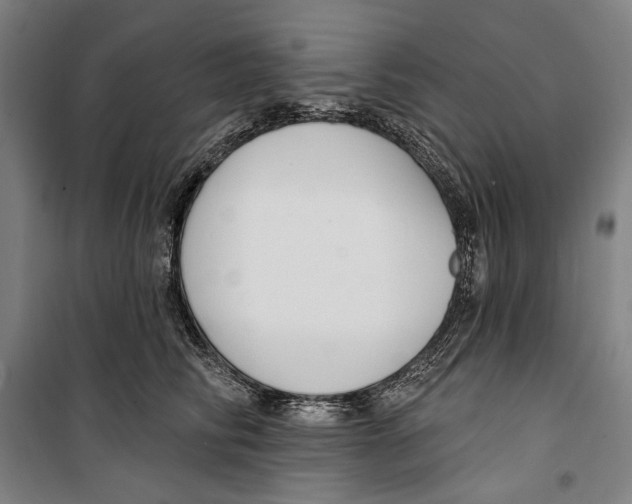 X0000099520710200806121502