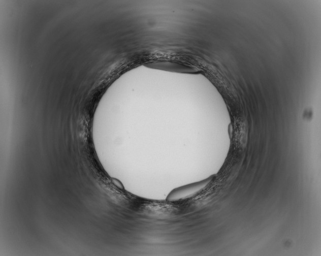 X0000099520712200806121502