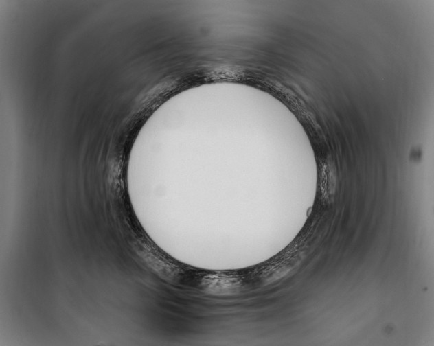 X0000099520714200806121502