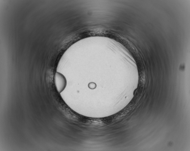 X0000099520715200806121502