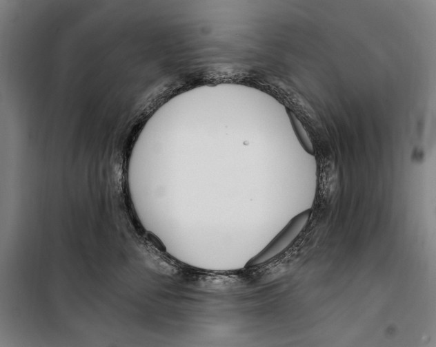 X0000099520716200806121502