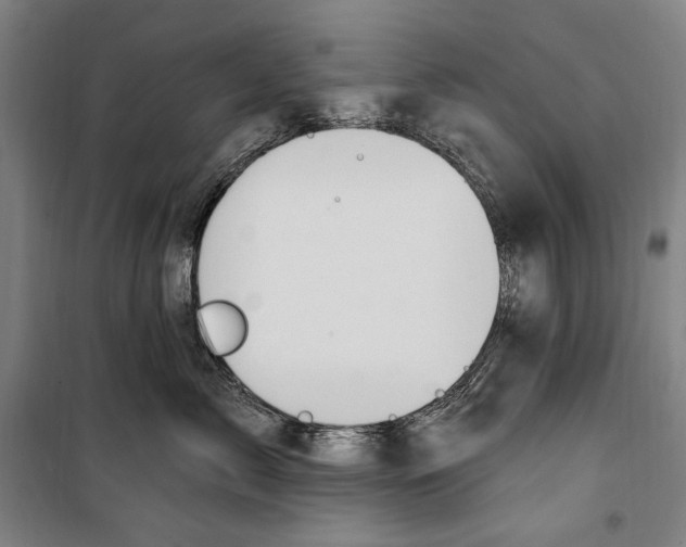 X0000099520717200806121502