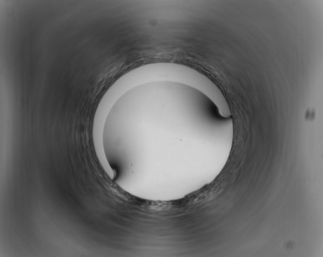 X0000099520720200806121502