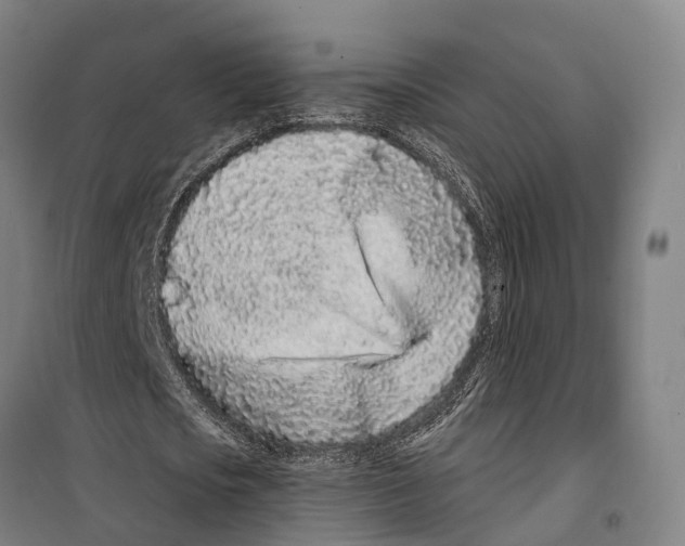 X0000099520721200806121501