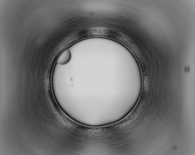 X0000099520725200806121501