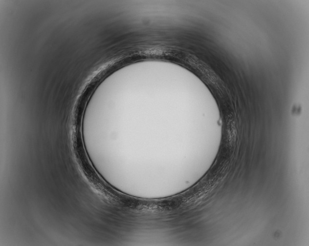 X0000099520728200806121501