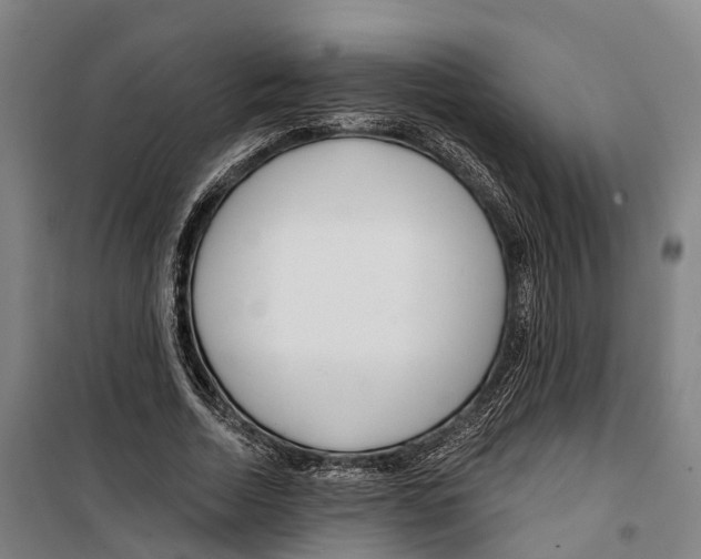 X0000099520730200806121501