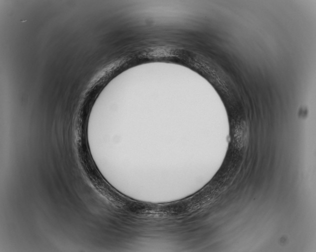 X0000099520732200806121501