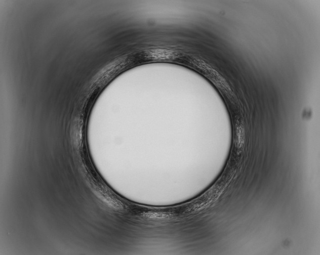 X0000099520733200806121501