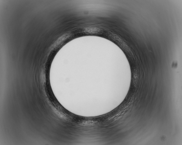 X0000099520734200806121501