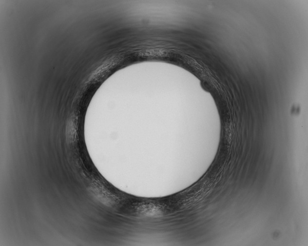 X0000099520735200806121501