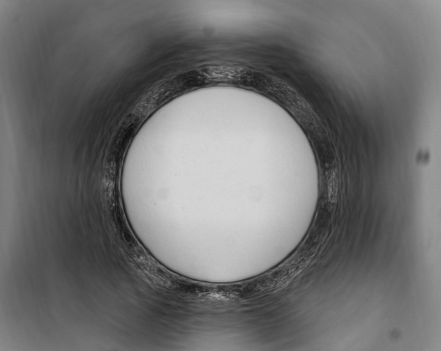 X0000099520737200806121501