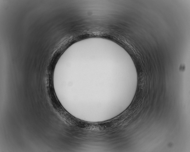 X0000099520738200806121501