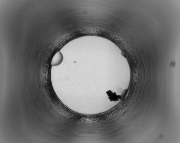 X0000099520739200806121501