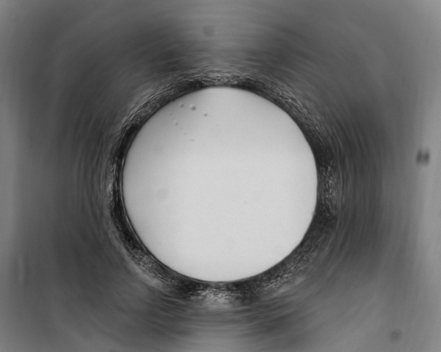 X0000099520742200806121501