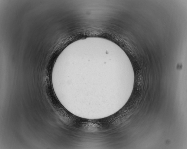 X0000099520743200806121501