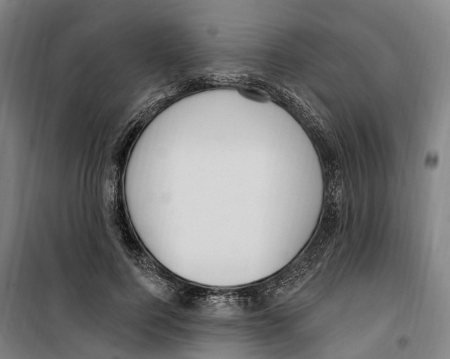 X0000099520744200806121501