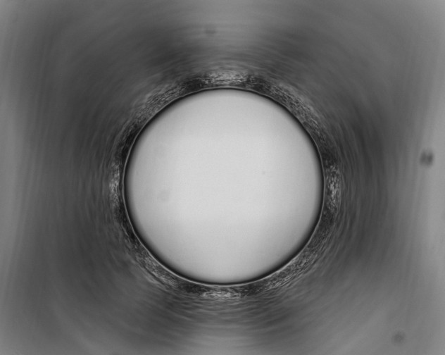 X0000099520745200806121501