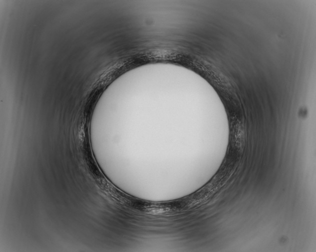 X0000099520746200806121501