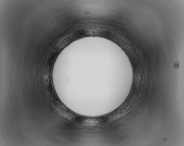 X0000099520749200806121501