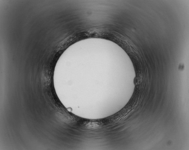 X0000099520751200806121501