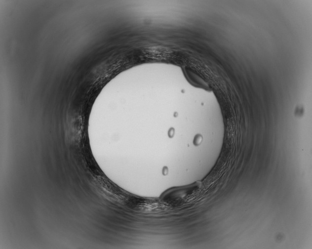 X0000099520752200806121501