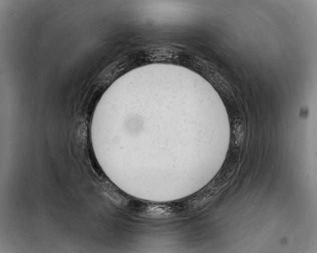 X0000099520753200806121501