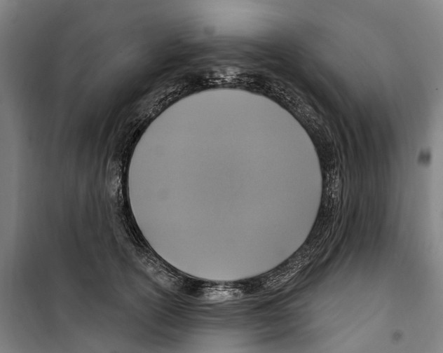 X0000099520754200806121501