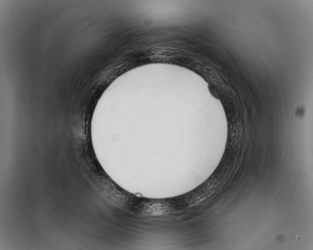 X0000099520755200806121501