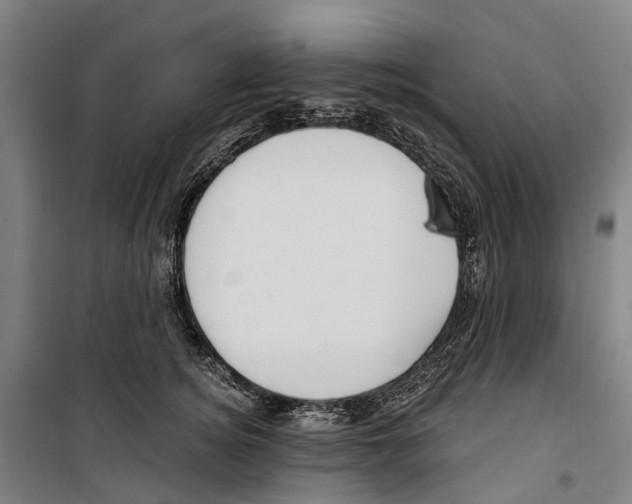 X0000099520756200806121501