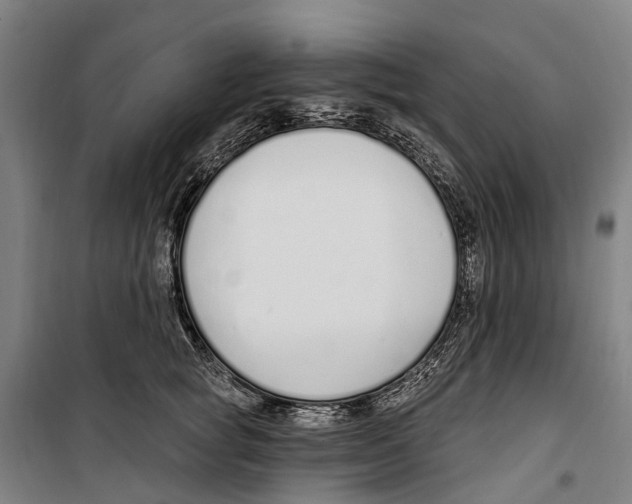 X0000099520757200806121502