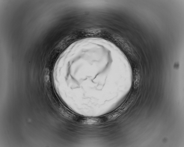 X0000099520758200806121502