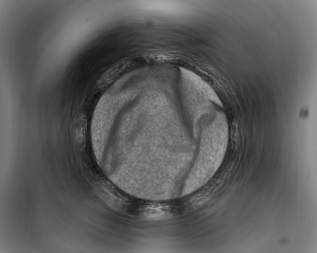 X0000099520760200806121502