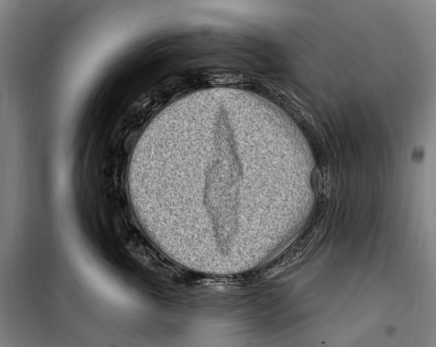 X0000099520763200806121502