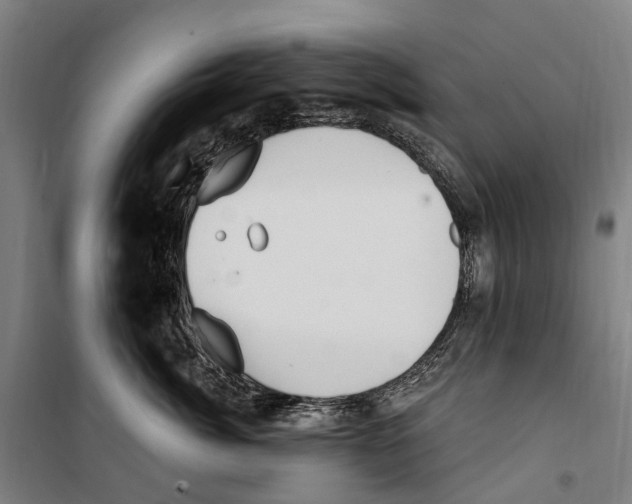 X0000099520764200806121502