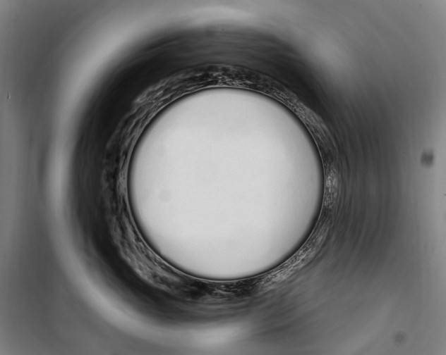 X0000099520765200806121502